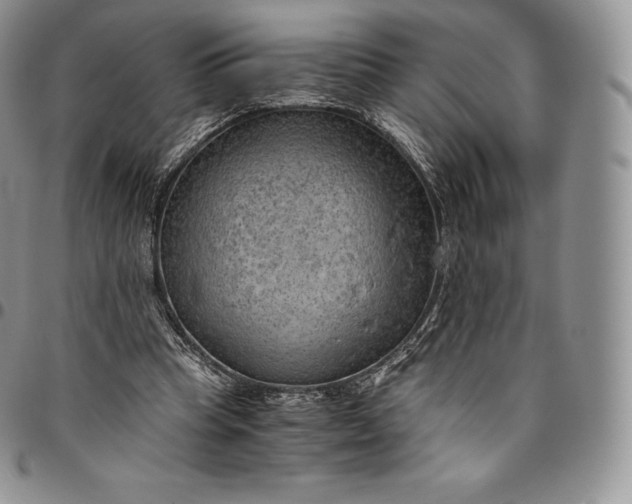 X0000094800345200711301544