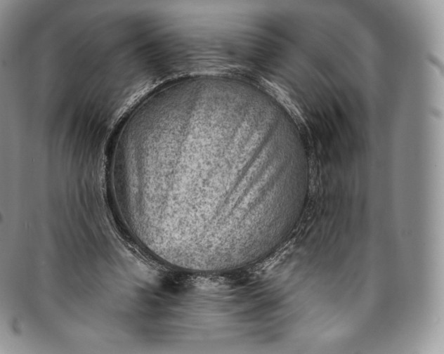 X0000094800346200711301544