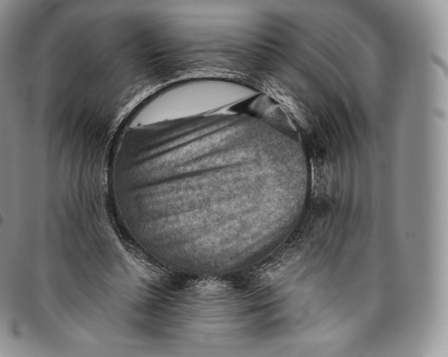 X0000094800348200711301544