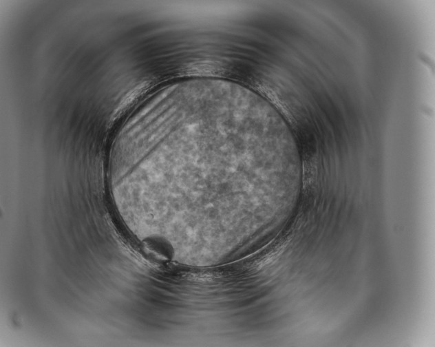 X0000094800349200711301544