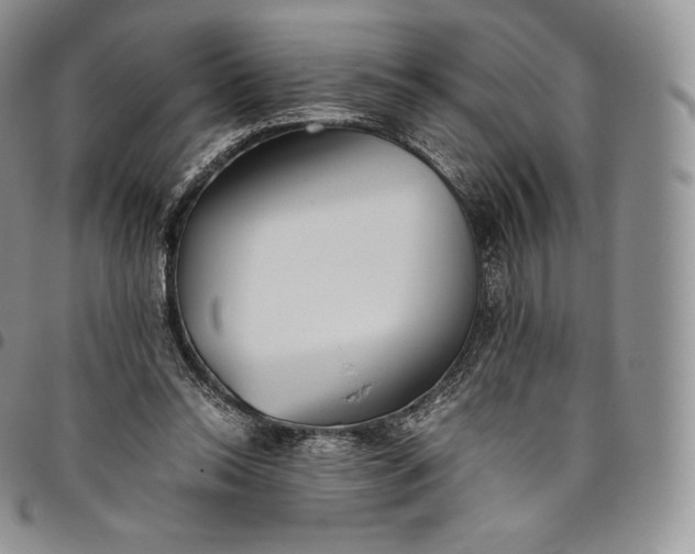 X0000094800350200711301544