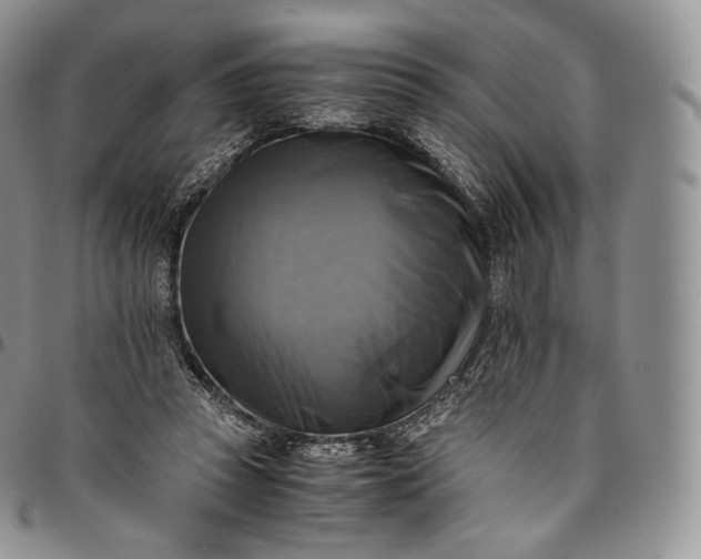X0000094800353200711301544