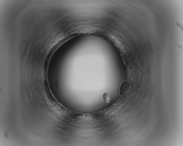 X0000094800354200711301544