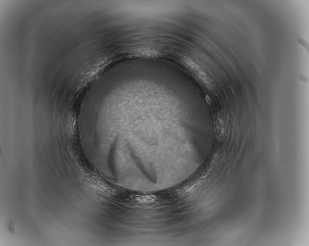 X0000094800355200711301544