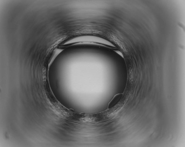 X0000094800356200711301544