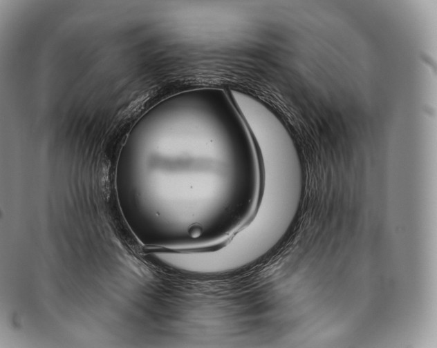 X0000094800360200711301544