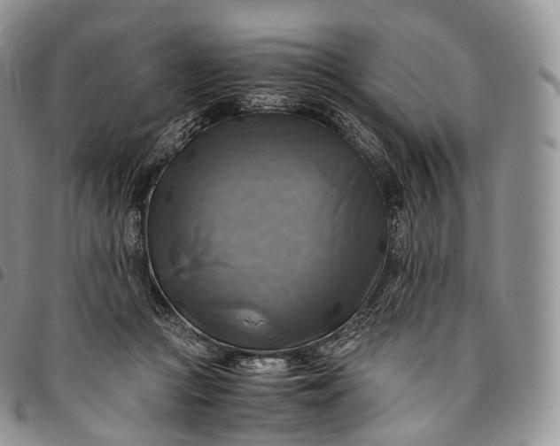 X0000094800361200711301544