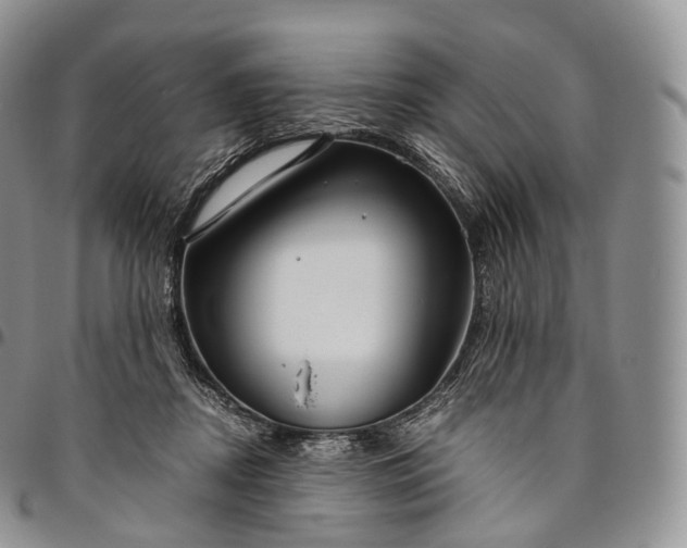 X0000094800362200711301544