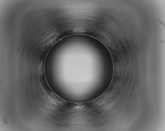 X0000094800364200711301544