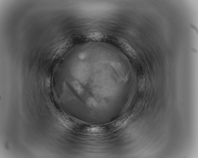 X0000094800365200711301544