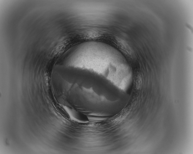 X0000094800366200711301544