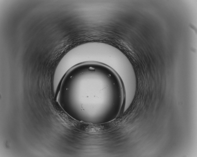X0000094800368200711301544
