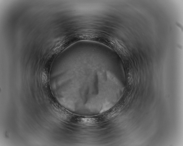 X0000094800371200711301544