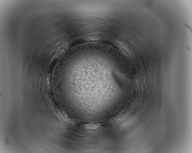 X0000094800373200711301544