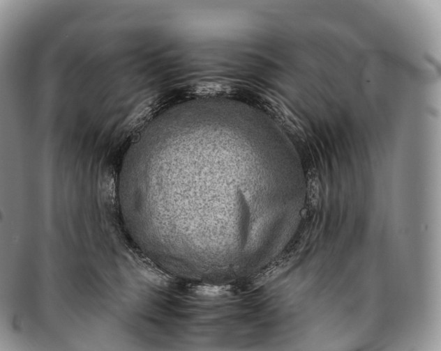 X0000094800375200711301544