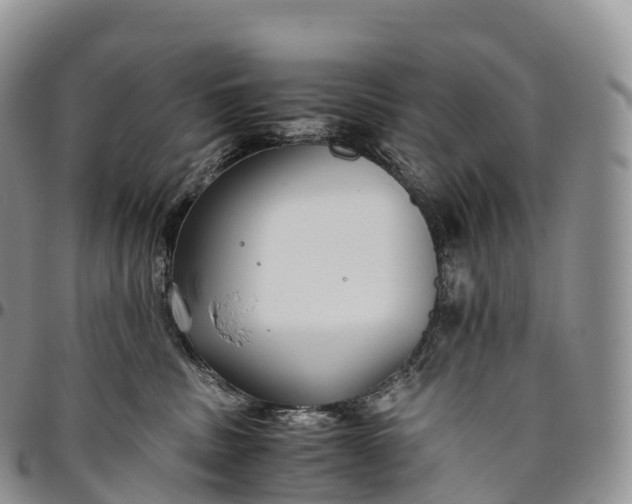 X0000094800379200711301544