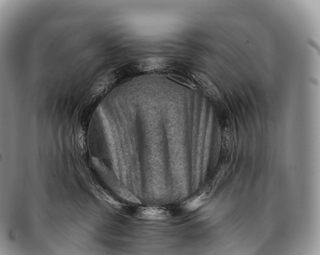 X0000094800380200711301544