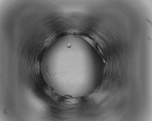 X0000094800381200711301544