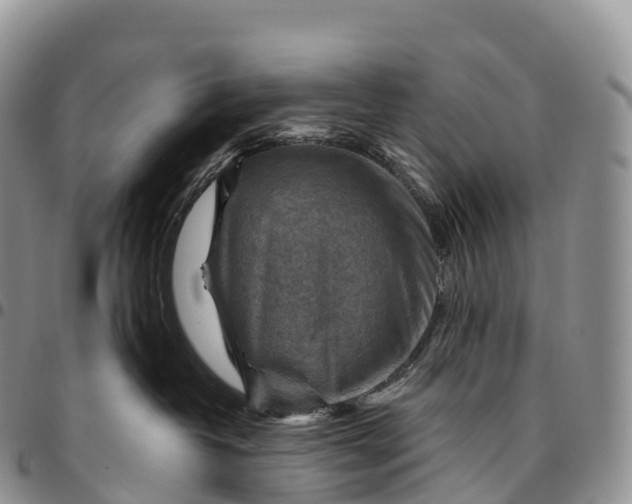 X0000094800382200711301544