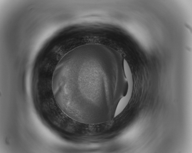 X0000094800383200711301544