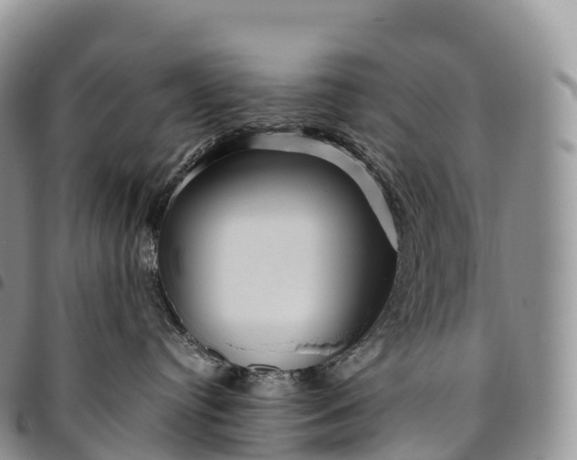 X0000094800384200711301544