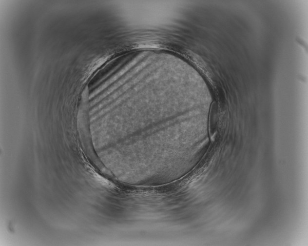 X0000094800385200711301544