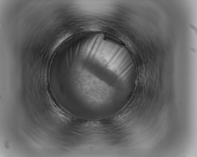 X0000094800386200711301544