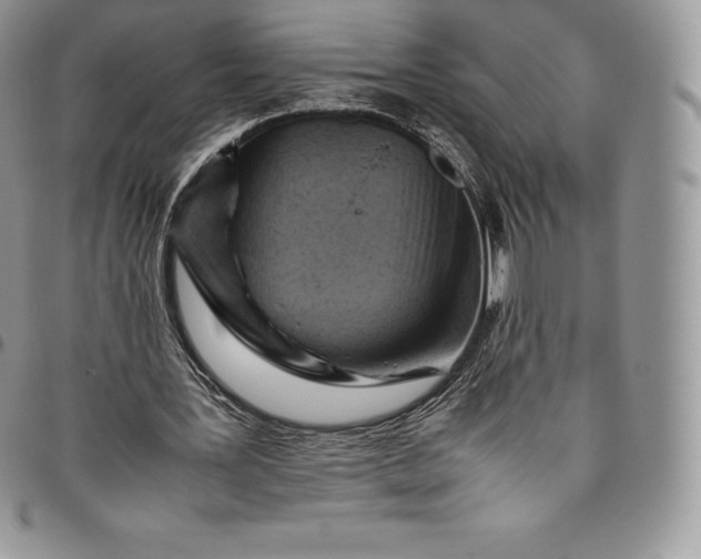 X0000094800387200711301544