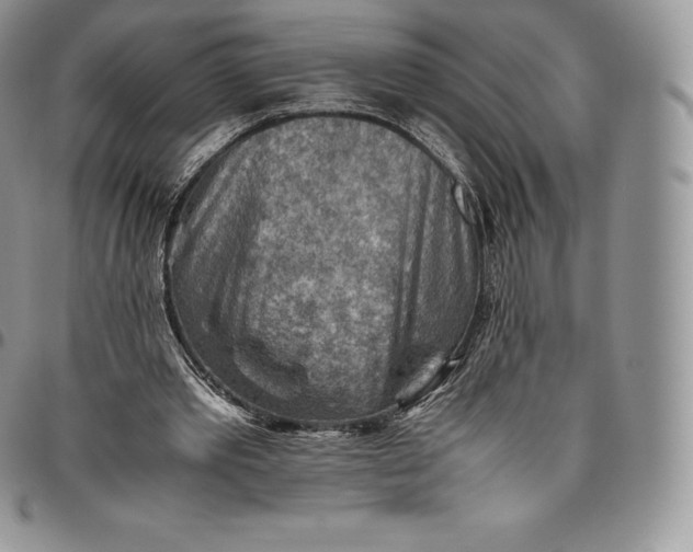 X0000094800389200711301544
