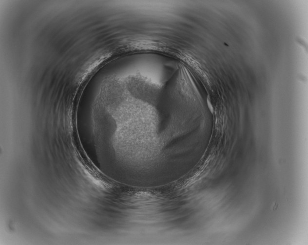 X0000094800390200711301544