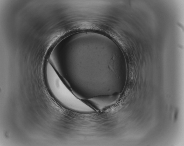 X0000094800391200711301544