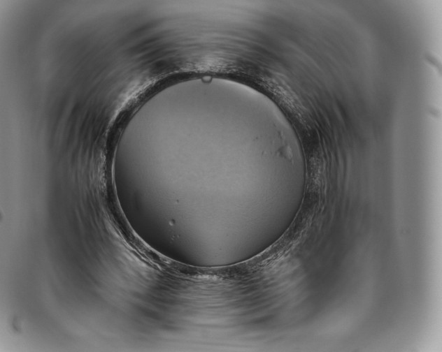 X0000094800392200711301544