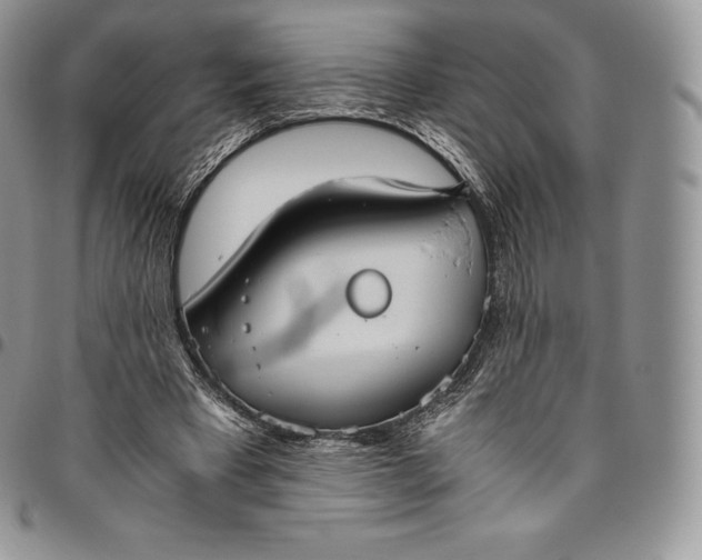 X0000094800393200711301544