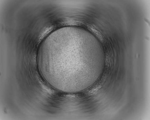 X0000094800394200711301544