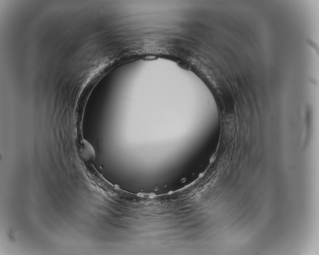 X0000094800395200711301544