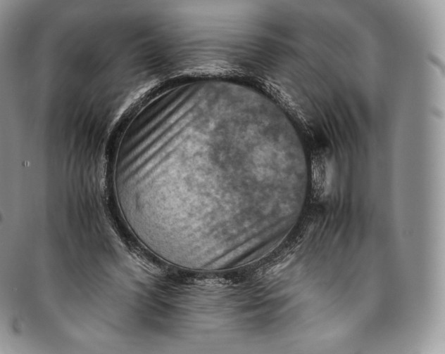 X0000094800396200711301544