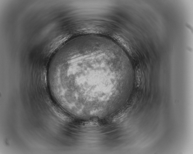 X0000094800398200711301543