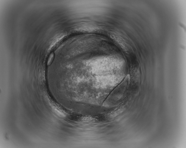 X0000094800399200711301543