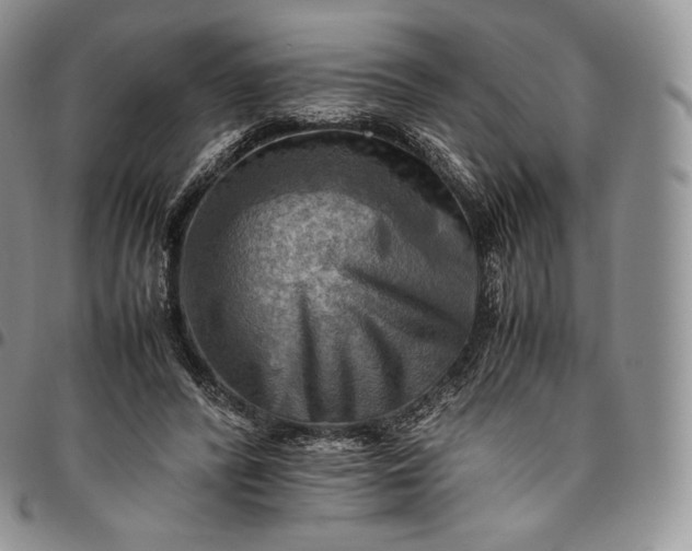 X0000094800400200711301543