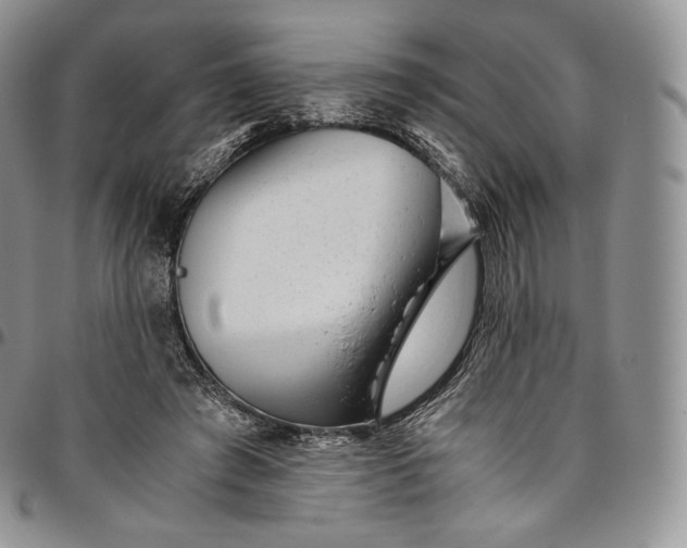 X0000094800401200711301543