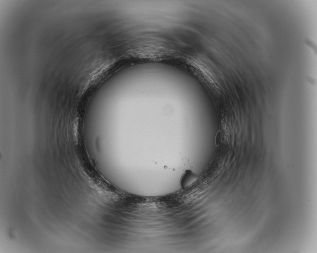 X0000094800404200711301543