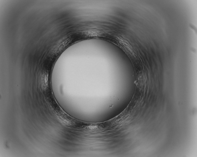 X0000094800406200711301543