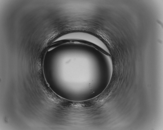 X0000094800407200711301543