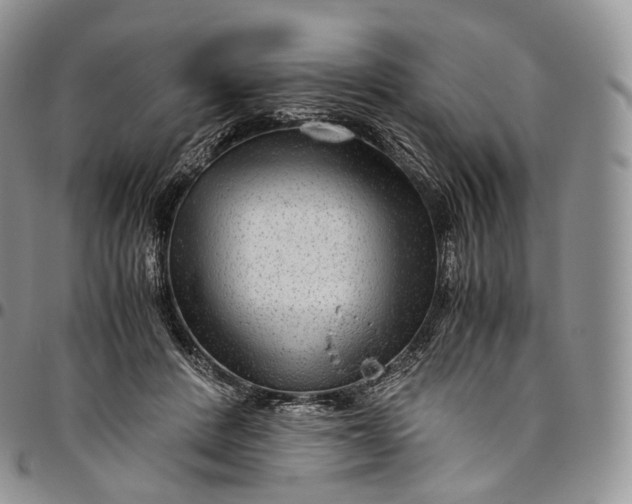 X0000094800408200711301543