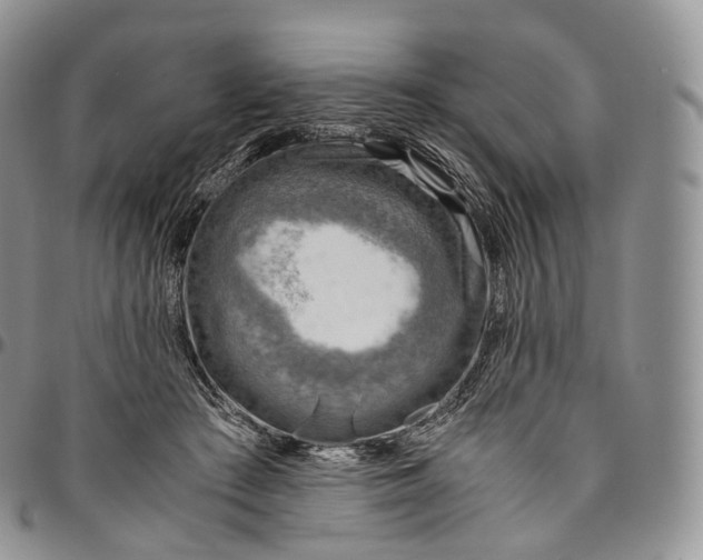 X0000094800409200711301543