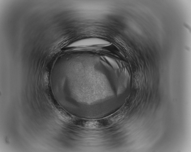 X0000094800410200711301543
