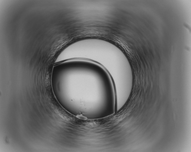 X0000094800411200711301543