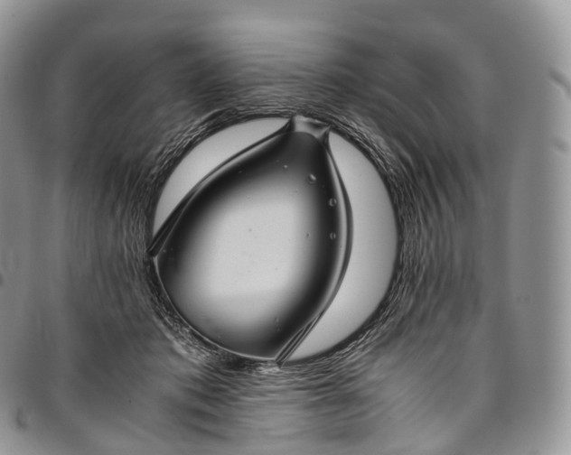 X0000094800413200711301543