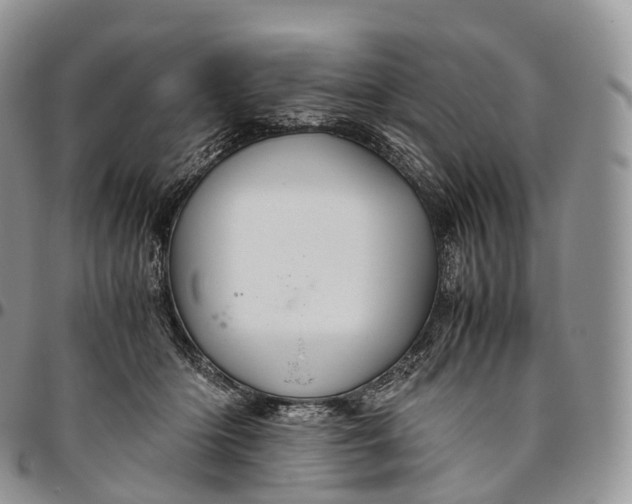 X0000094800414200711301543
