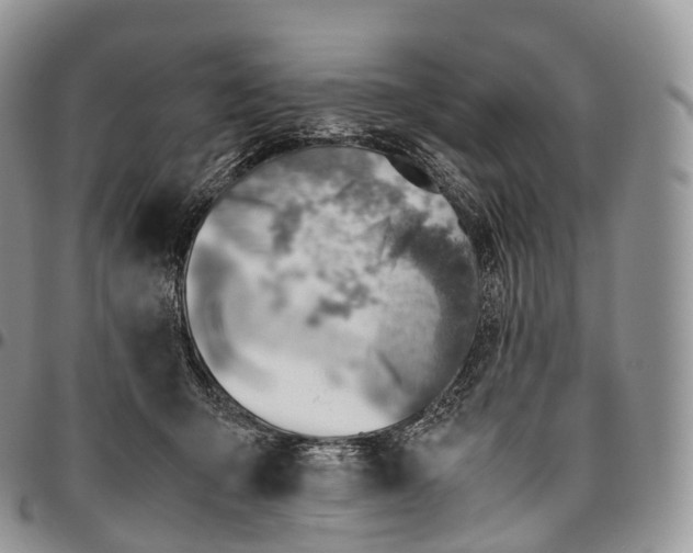 X0000094800415200711301543